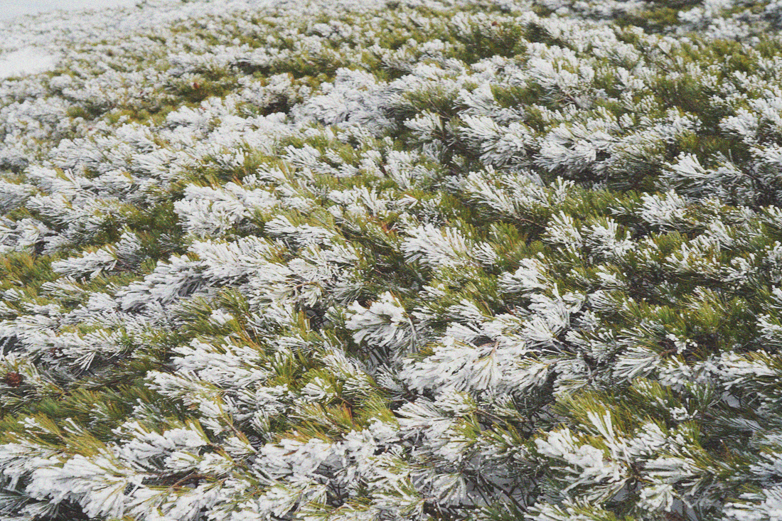 季節の変わり目に肌がゆらぐ理由と、やさしい整え方。