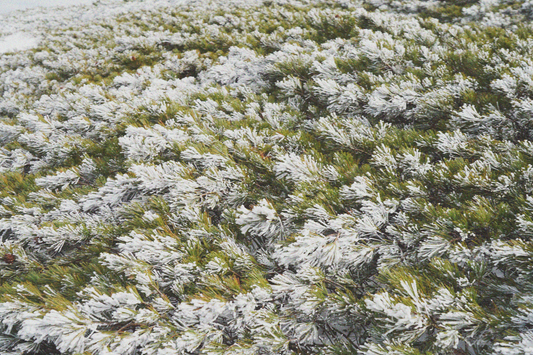 季節の変わり目に肌がゆらぐ理由と、やさしい整え方。