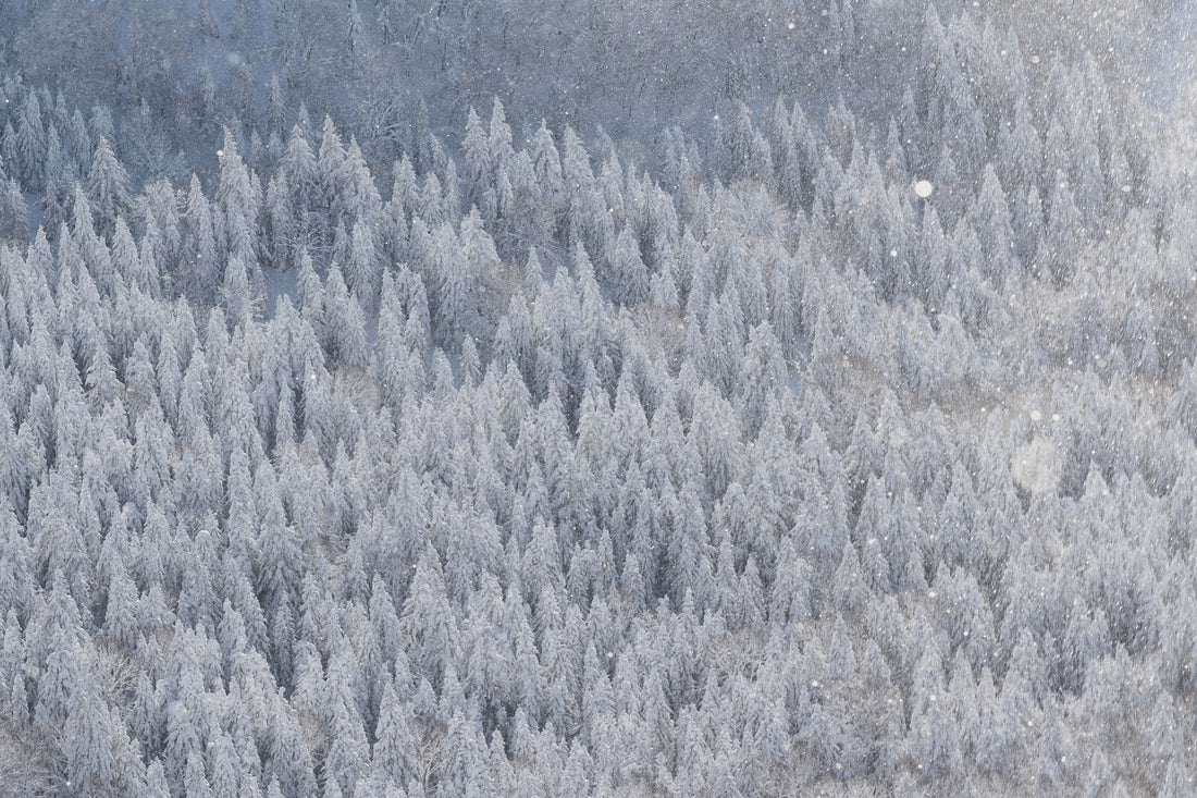 雪国の暮らしに学ぶ冬の乾燥対策｜肌のうるおいを守る3つのポイント